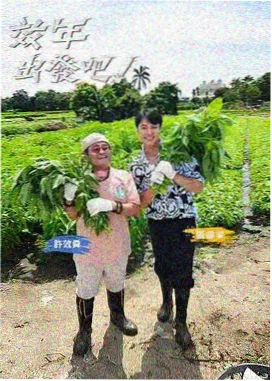 十七岁合唱团综艺